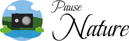 Pause Nature