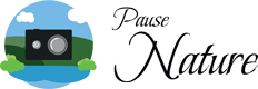 Pause Nature Logo
